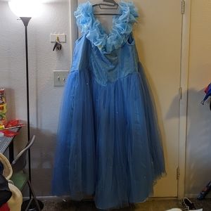 Cinderella Live Action 2015 Ball Gown/Costume | Approximate Size 5X